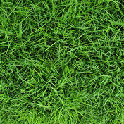 X-remover manchas orgânicas