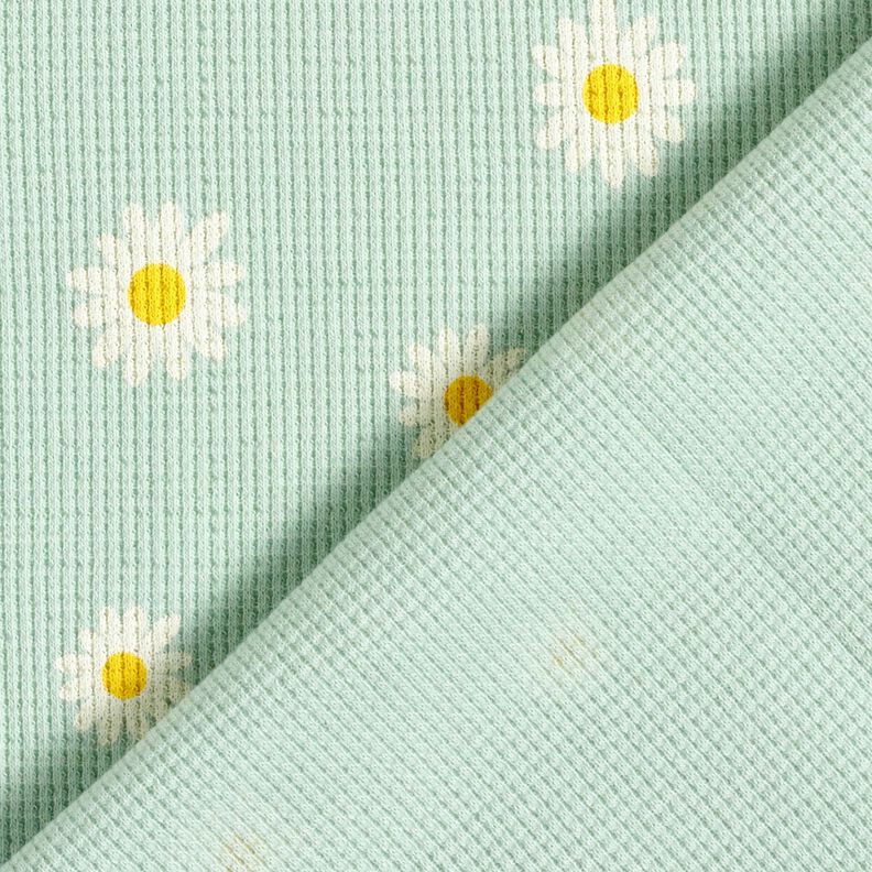 Jersey Favos Margaridas – menta clara,  image number 4