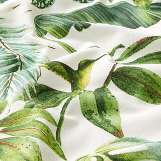 Tecido para decoração Meio linho Panamá folhas exóticas – verde/branco, 