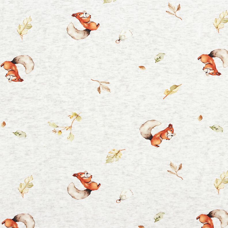 Tecido polar alpino Esquilo – natural/cinzento claro,  image number 1