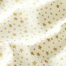 Tecido de algodão Cretone Céu estrelado natalício, pequeno – branco,  thumbnail number 2