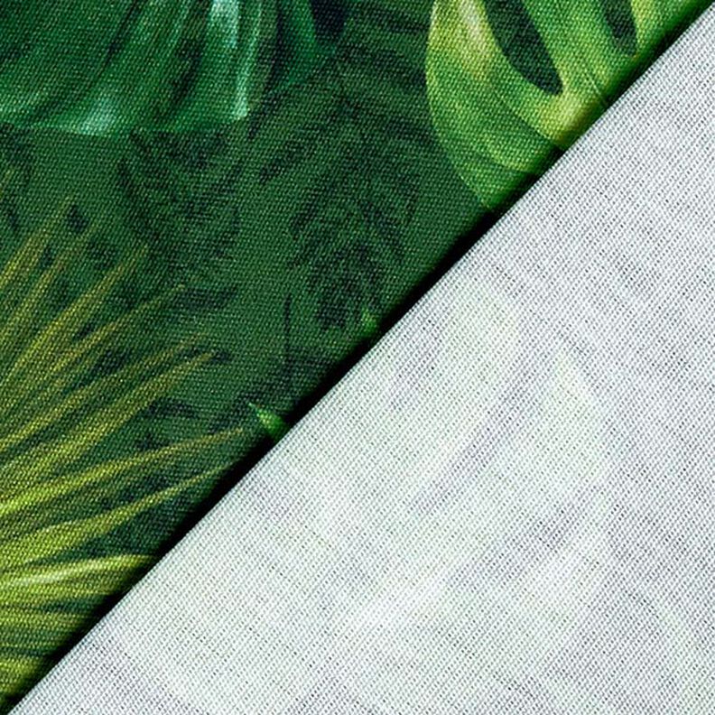 Tecido para exteriores Lona Folhas de palmeira – azeitona,  image number 4