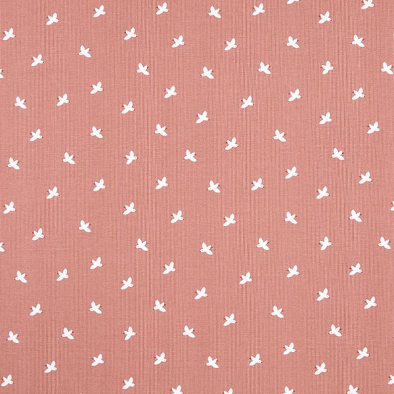 Jersey Favos Pássaros – rosa embaçado,  image number 1