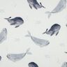 Tecido piqué em favo Baleias Impressão Digital | Poppy Fabrics – marfim/cinza claro,  thumbnail number 1