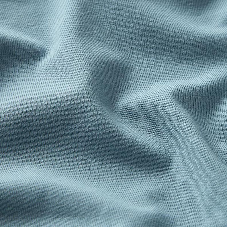 GOTS Jersey de algodão | Tula – azul-pomba,  image number 2