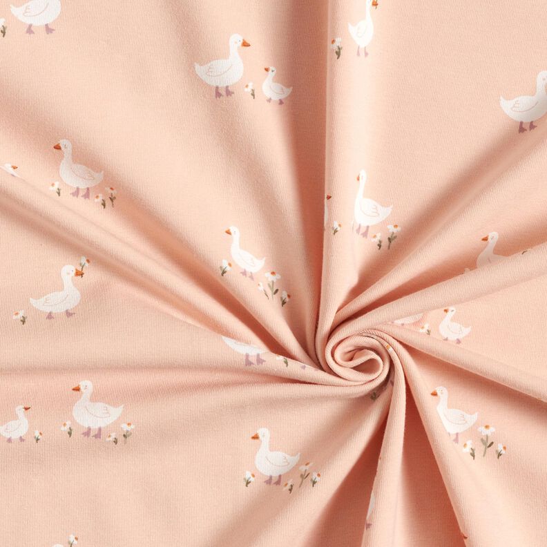 Jersey de algod&atilde;o Gansos e flores &ndash; ros&eacute;,  image number 3