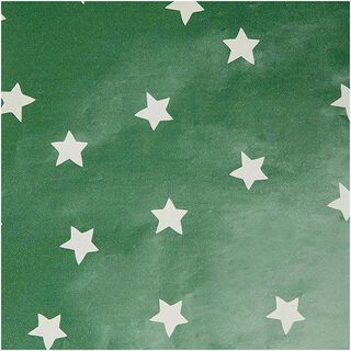 Papel de embrulho Estrelas | Rico Design – verde, 