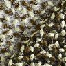 Tecido de renda Gavinha floral e lantejoulas – preto/azeitona,  thumbnail number 4