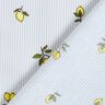Tecido de algodão Limões e riscas – branco sujo/taupe claro,  thumbnail number 4