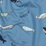 Jersey de algodão Baleias giras | Poppy Fabrics – cinza claro/azul-marinho,  thumbnail number 2