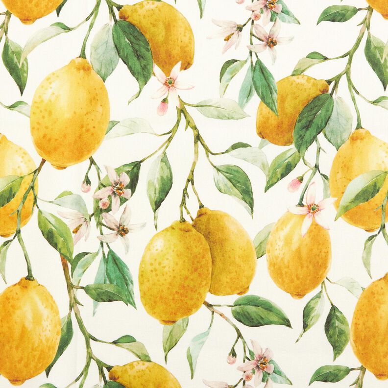 Tecido para exteriores Lona Limões – marfim/amarelo-limão,  image number 1
