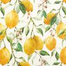 Tecido para exteriores Lona Limões – marfim/amarelo-limão,  thumbnail number 1