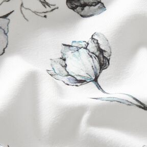 Jersey de algodão Desenho a tinta Papoilas Impressão Digital – marfim/preto azulado, 