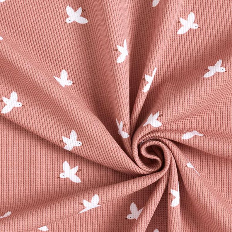 Jersey Favos Pássaros – rosa embaçado,  image number 4