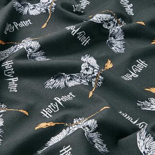 Jersey de algodão Tecido sob licença Harry Potter Hedwig com vassoura | Warner Bros. – cinza ardósia, 