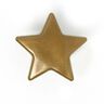 Botões de pressão Color métallique Snaps Estrela 2 - dourado metálica| Prym,  thumbnail number 1