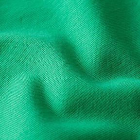 Tecido para bordas liso &ndash; verde, 