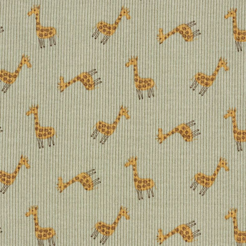 Jersey canelado Girafas doces &ndash; caqui,  image number 1