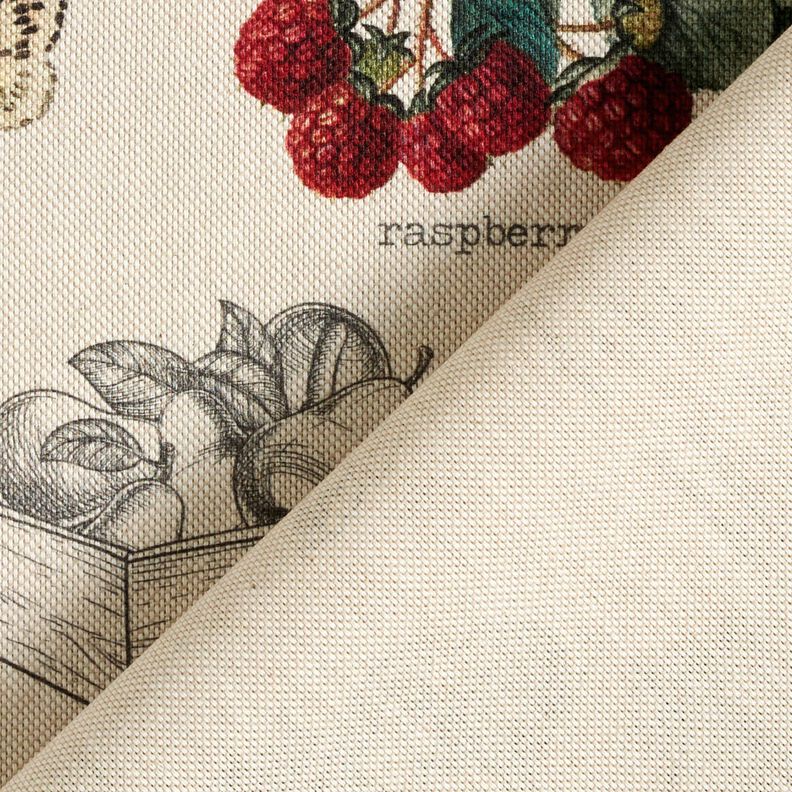 Tecido para decoração Meio linho Panamá Tipos de frutas – natural/verde escuro,  image number 4