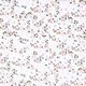 Cetim de viscose de seda Flores dispersas – branco,  thumbnail number 1