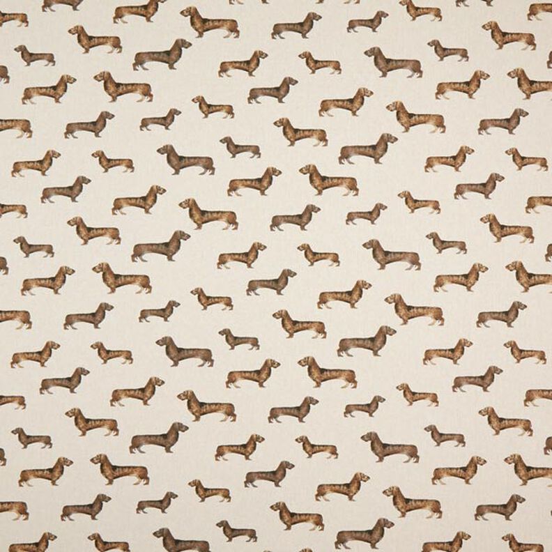Tecido para decoração Meio linho Panamá Cão salsicha – natural,  image number 1