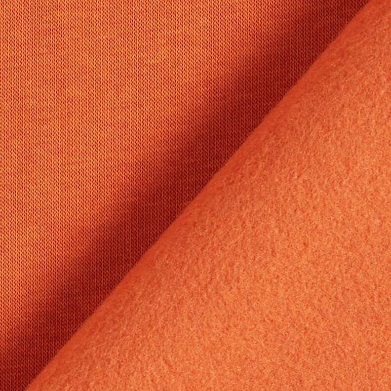 Sweatshirt Cardada – terracota,  image number 5