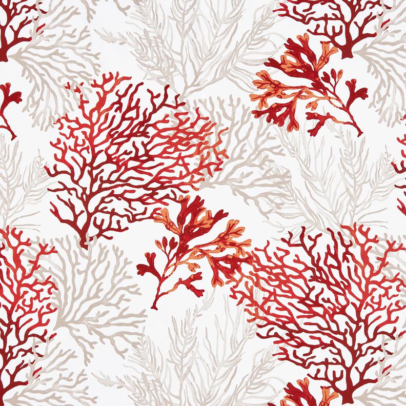 Tecido de algodão Cretone Grandes corais – branco/laranja-pêssego,  image number 1