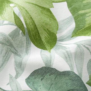 Tecido para decoração Lona Folhas de costela-de-adão grandes – branco/verde grama, 