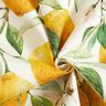 Tecido para exteriores Lona Limões – marfim/amarelo-limão,  thumbnail number 4