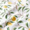 Algodão revestido Limões pintados – branco/amarelo-limão,  thumbnail number 3