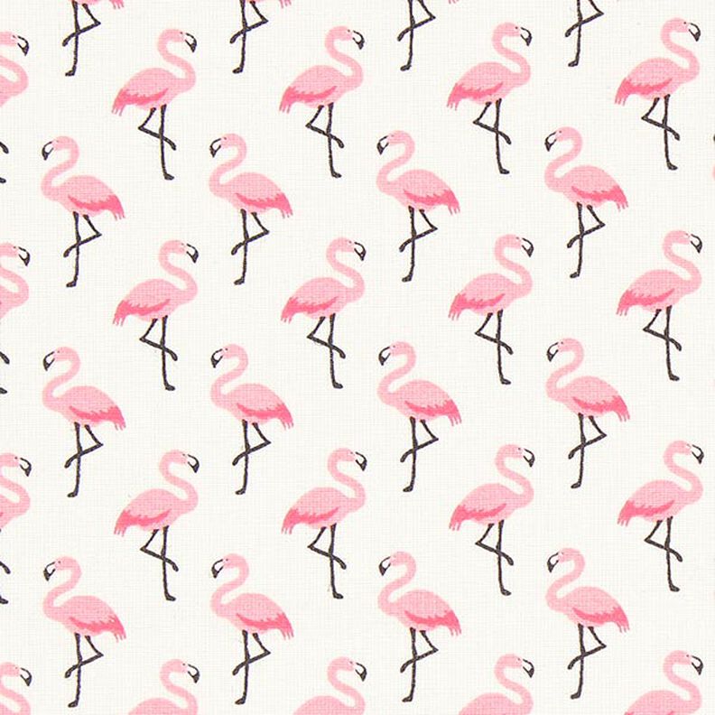 Algodão revestido Flamingo,  image number 1