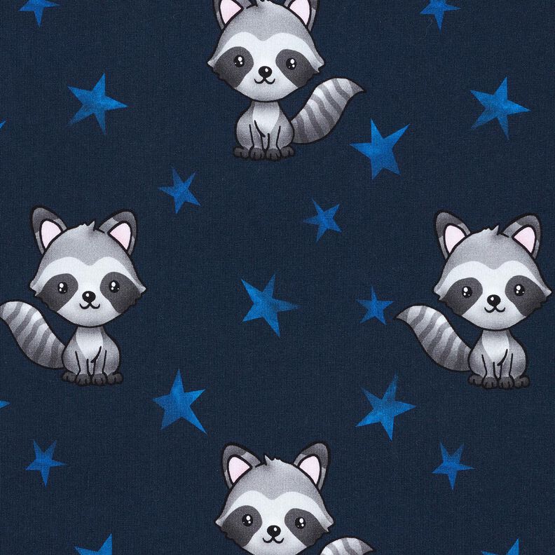 Jersey de algodão Guaxinim com estrelas | Glitzerpüppi – azul-noite/prateado,  image number 1