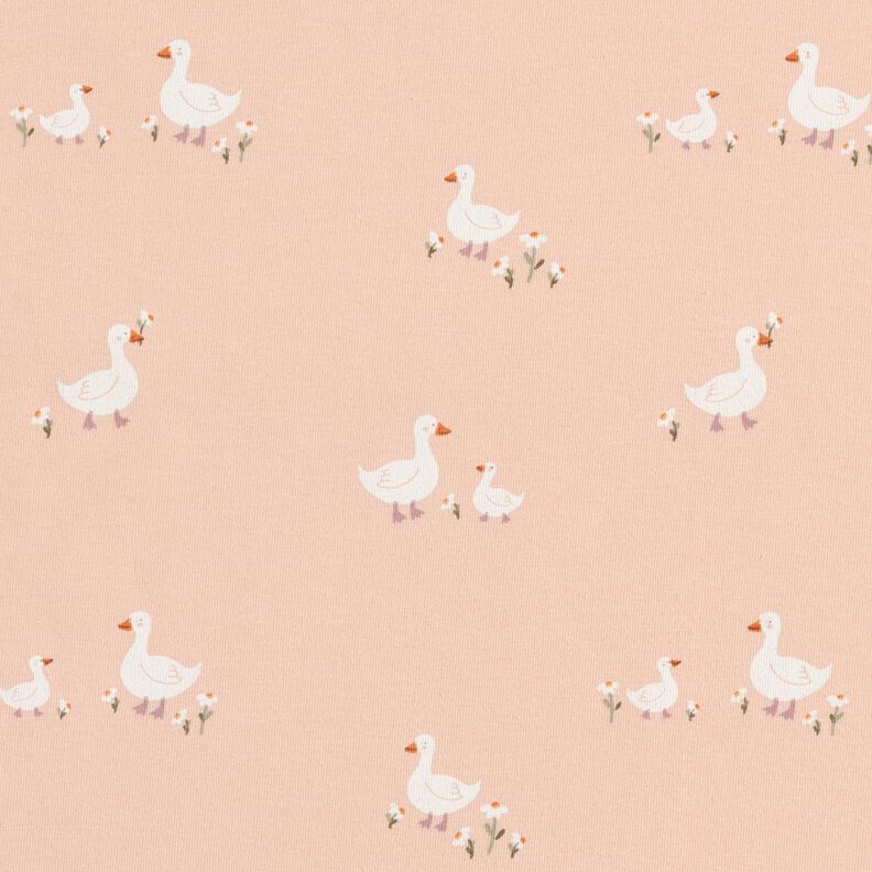 Jersey de algod&atilde;o Gansos e flores &ndash; ros&eacute;,  image number 1