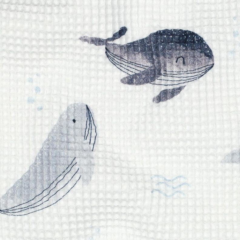 Tecido piqué em favo Baleias Impressão Digital | Poppy Fabrics – marfim/cinza claro,  image number 2