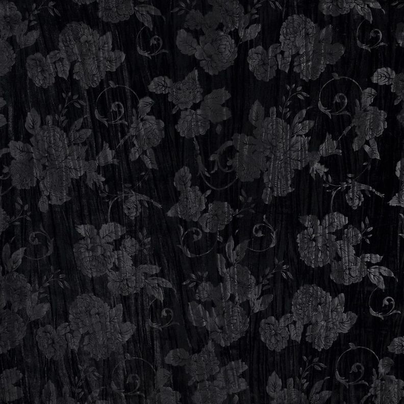 Crisântemo aveludado – preto,  image number 1