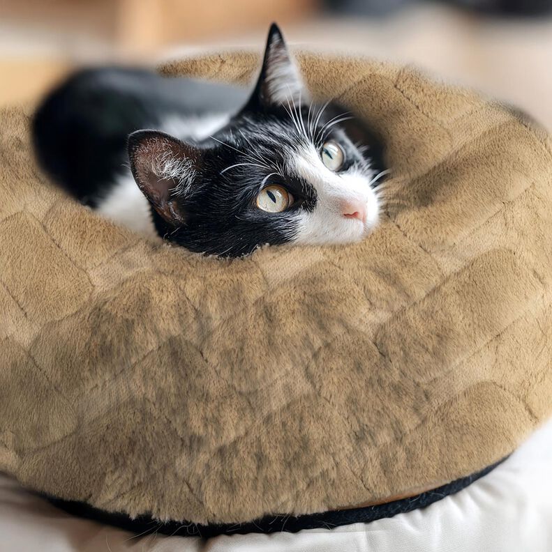 Pelo artificial Abstrato – cor de areia,  image number 5