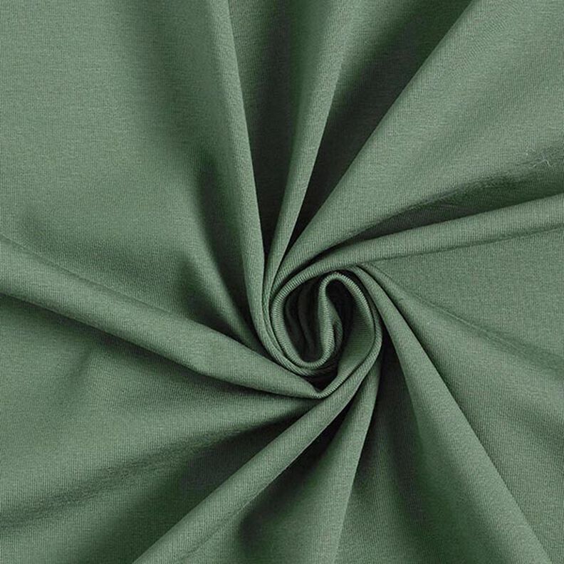Jersey de algodão médio liso – verde-pinheiro,  image number 1