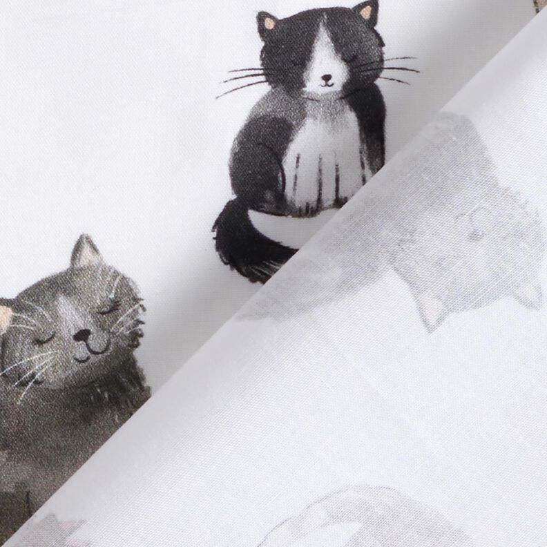 Popelina de algodão Gatos felizes Impressão Digital | Poppy Fabrics – branco,  image number 4