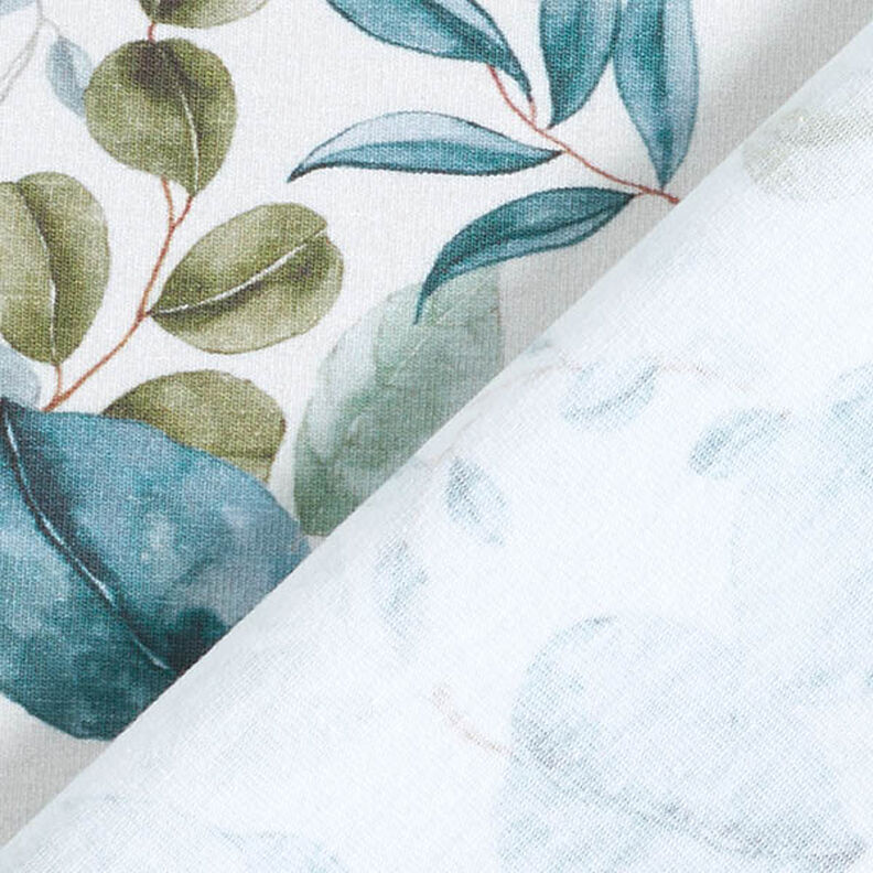 Jersey de algodão Folhas de eucalipto Impressão Digital – branco sujo,  image number 4