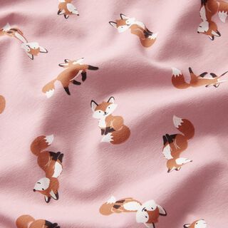 Jersey de algodão Raposas doces – rosa-velho claro, 