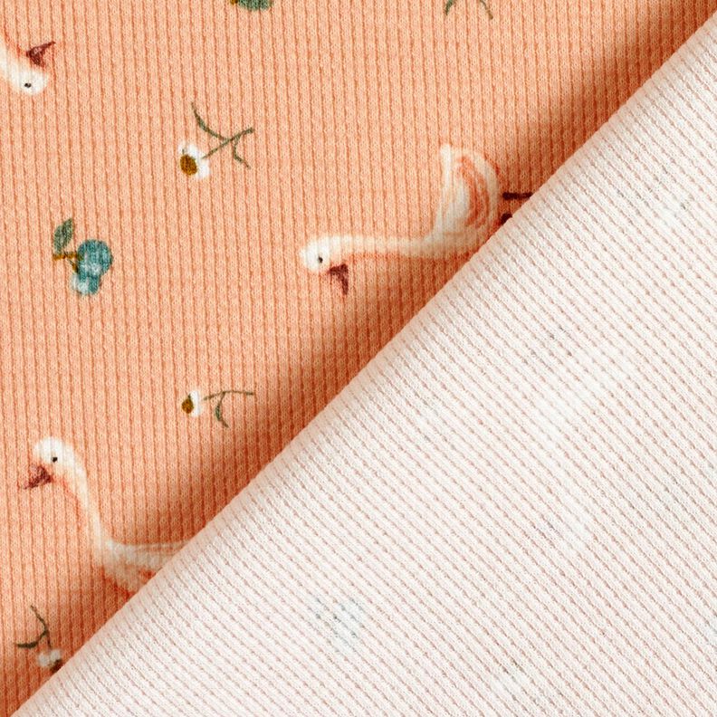 Jersey Favos Gansos e flores &ndash; salm&atilde;o,  image number 4