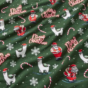 French Terry Sweat de verão Pai Natal e lama | Glitzerpüppi – verde pinheiro/cor de malagueta, 