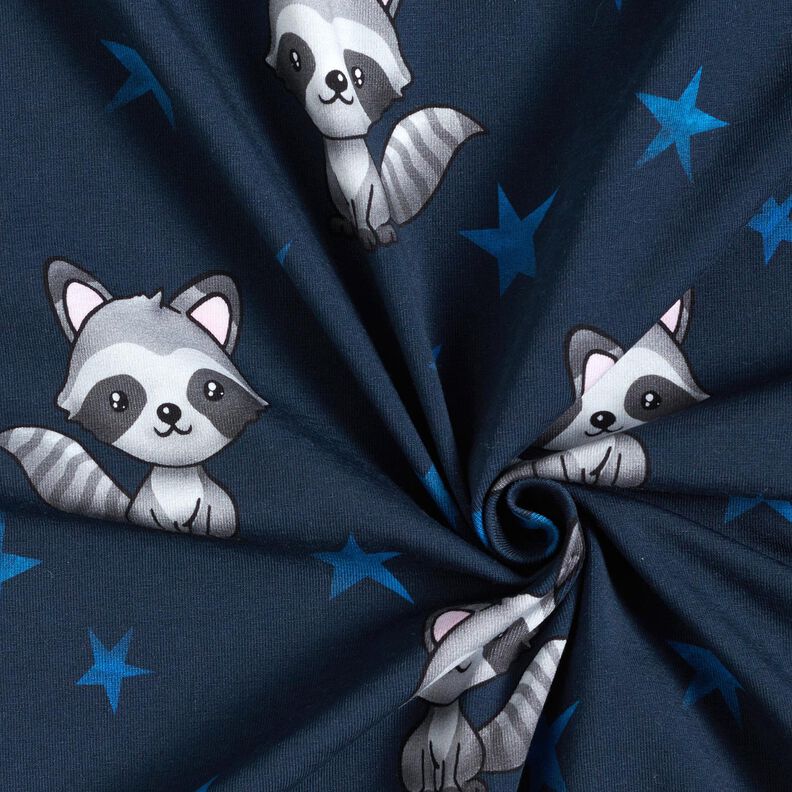 Jersey de algodão Guaxinim com estrelas | Glitzerpüppi – azul-noite/prateado,  image number 3