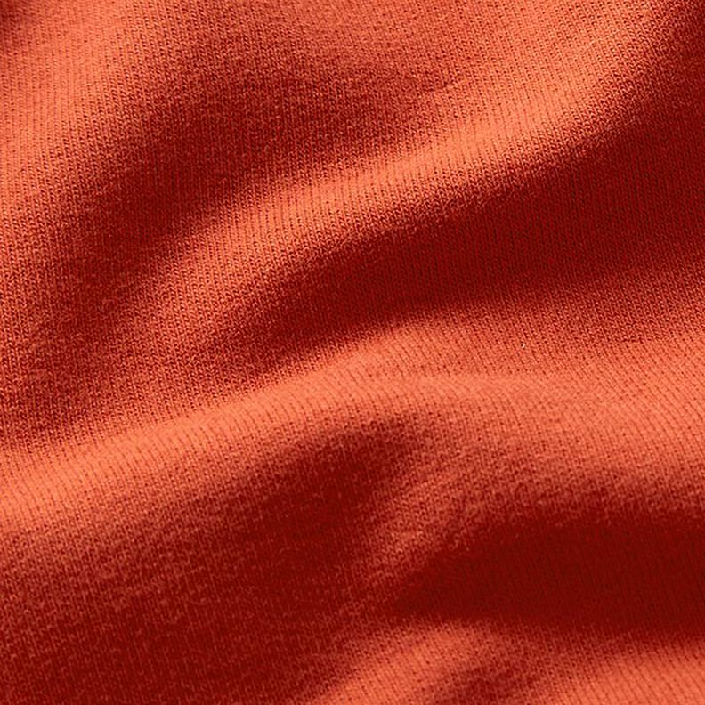 GOTS Softsweat | Tula – terracota,  image number 2
