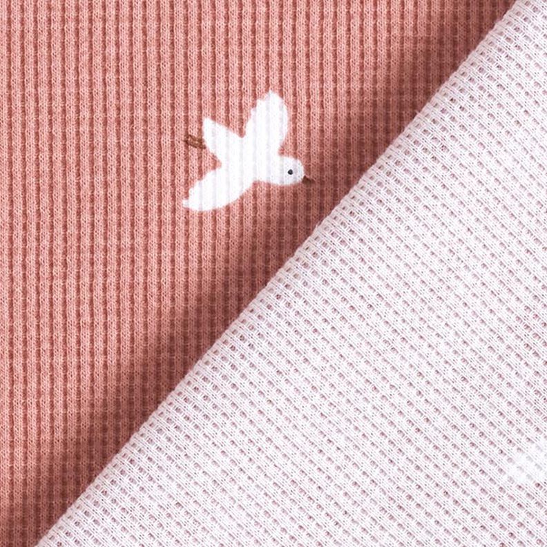 Jersey Favos Pássaros – rosa embaçado,  image number 5