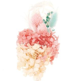 Conjunto de flores secas [ 30 cm ] | Rico Design – turquesa, 