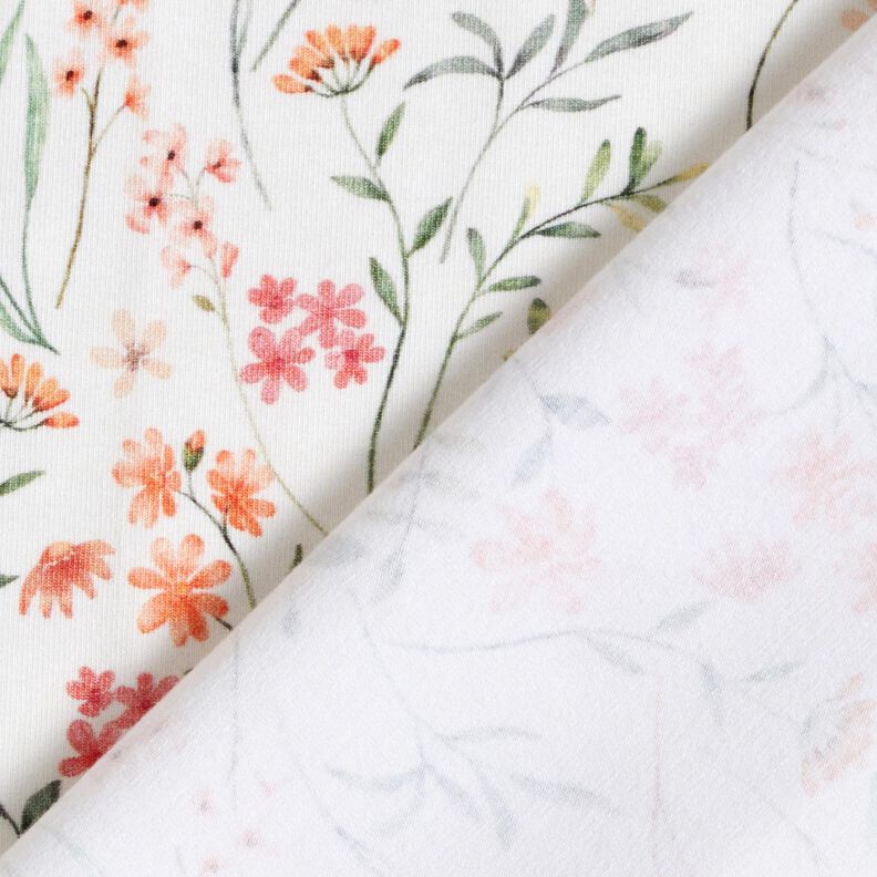 GOTS Jersey de algodão Prado de flores silvestres Impressão Digital – marfim,  image number 4