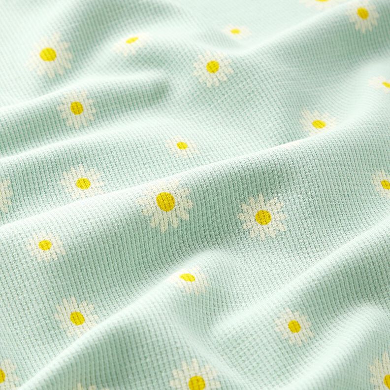 Jersey Favos Margaridas – menta clara,  image number 2