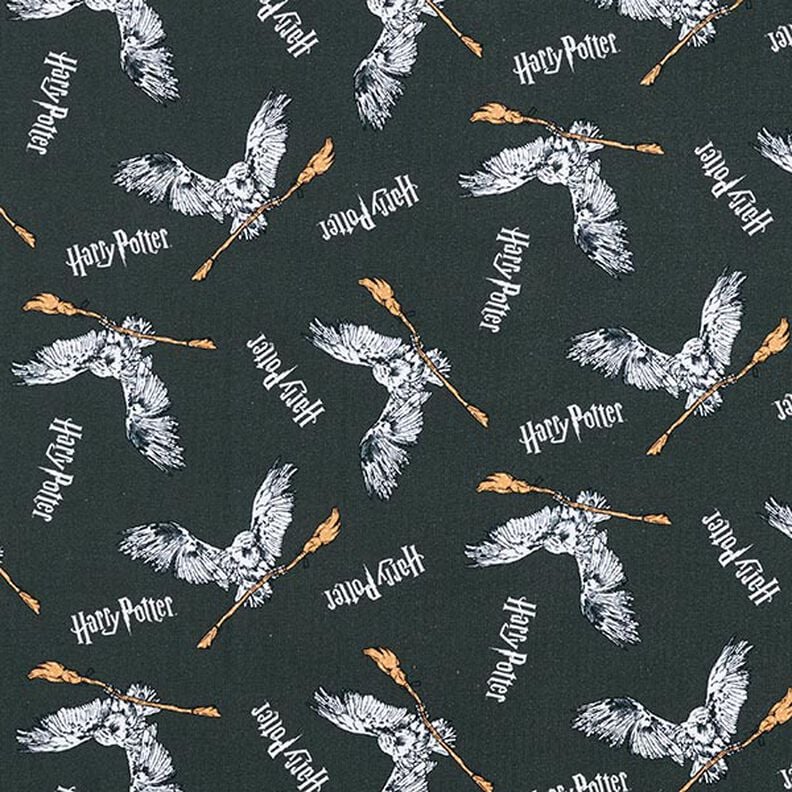 Jersey de algodão Tecido sob licença Harry Potter Hedwig com vassoura | Warner Bros. – cinza ardósia,  image number 1