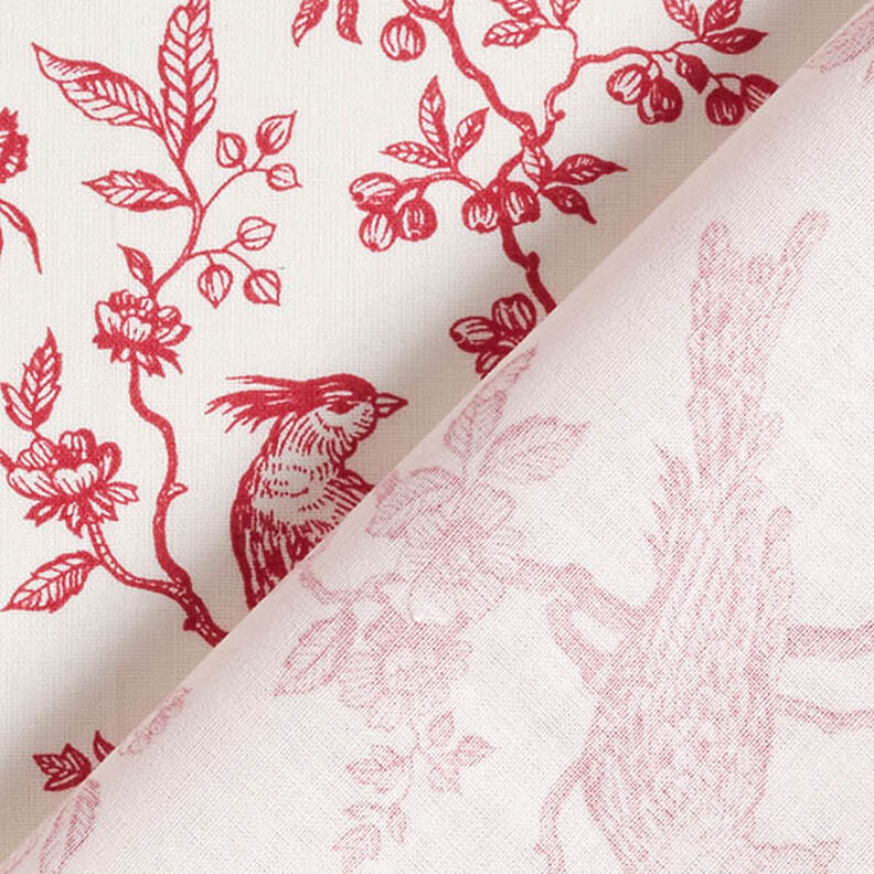 Tecido de algodão Cretone Pássaros – vermelho/branco sujo,  image number 4
